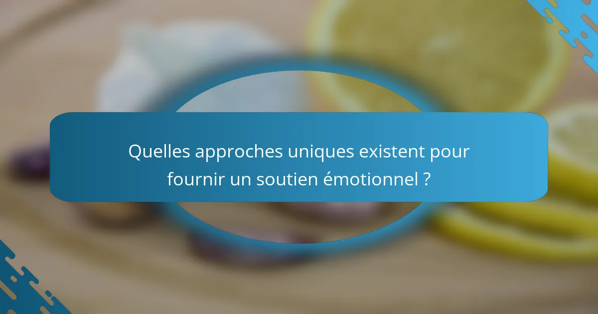 Quelles approches uniques existent pour fournir un soutien émotionnel ?